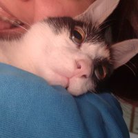 nosoylu (@luuurm) 's Twitter Profile