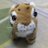 Minomi70's profile image
