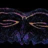 evan_maltz's profile picture. 30 trillion cells in a trench coat pretending to be an adult. Science, data, ML, crypto. PhD in biochemistry.