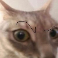 xenretaaa (@xenreta) 's Twitter Profile