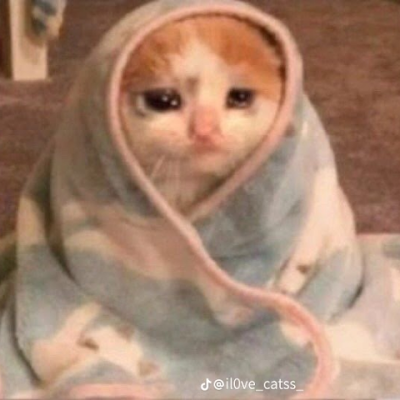 AtkinsonSc47065's profile picture. 