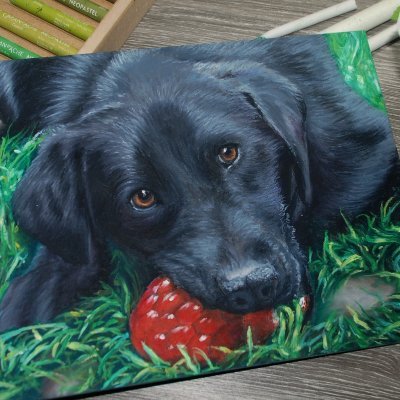 Artist and Art tutor. I specialise in creating lifelike pet portraits and portraits of people in paints, pastels and pencil - Commissions open.
