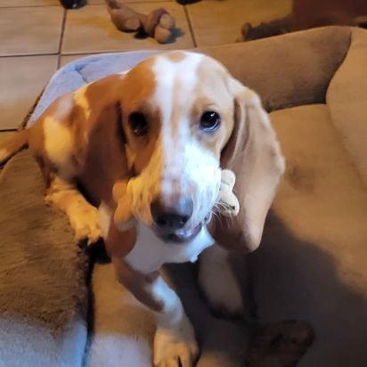 GoStarsGo2023's profile picture. 