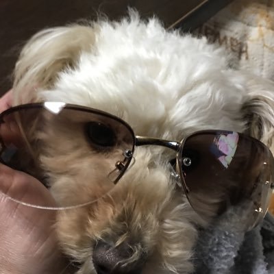 qKC3OhZGxcxWEJU's profile picture. 