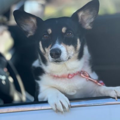 MacyMonkey's profile picture. Snapchat: lilmazey29