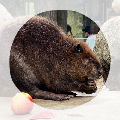 好きな事だけで生きて行きたい。