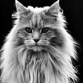 hernotnft's profile picture. All will be beautiful in time.hope can get something great