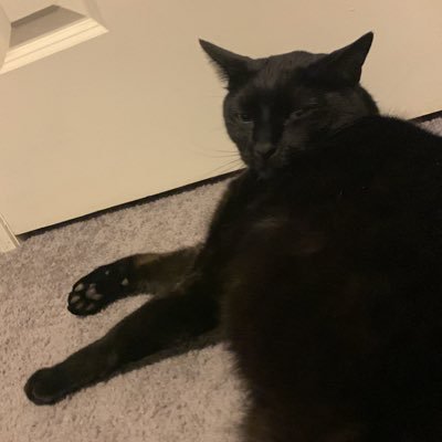 Frank38716472's profile picture. 