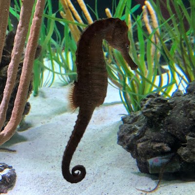 Mission28220516's profile picture. 