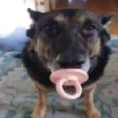 rainhadap90's profile picture. : 0