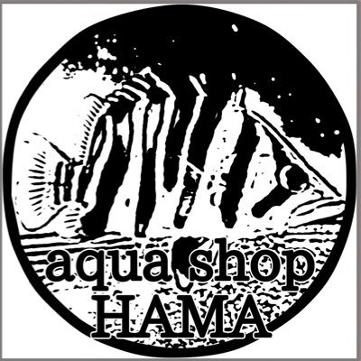 aqua shop HAMA 5店舗総合アカウント水槽や生体を高価買取します。 LINE yeyeye0625 インスタ aqua shopHAMA