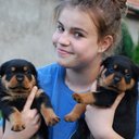 Fajcsák Flóra - @FloraSinger - Twitter