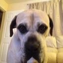 Scott Thorburn - @Scottsignmaker - Twitter