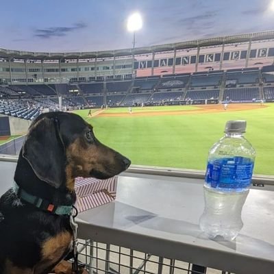 Biggamer861's profile picture. 