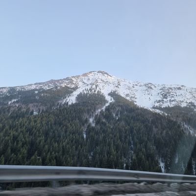 Alehandro990077's profile picture. 