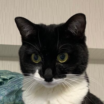 サイトウさんのプロフィール画像