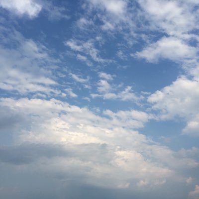 JoanneTay_'s profile picture. RN, MPH, PhD | improving quality of life and care for families, youths, and children with medical complexities through research