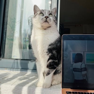 chapman4653038's profile picture. 