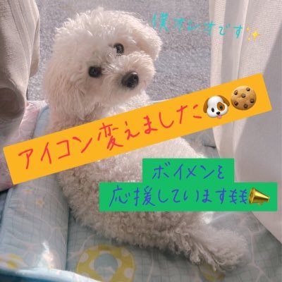 hoshiyomi_haru8 Profile Picture