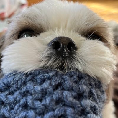 U66Y3xZgQqorZSF's profile picture. 