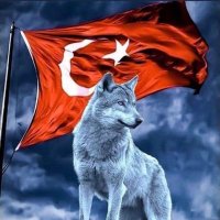 Yeniceli6778🇹🇷🇹🇷🇵🇰🇦🇿🇧🇦🇹🇷🇹🇷(@Yunus78Yakup) 's Twitter Profile Photo