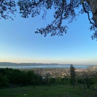 Harutoque (@harutoque1) 's Twitter Profile