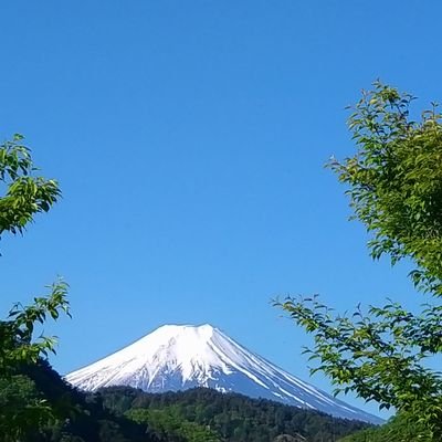 関東あたり　生まれ育ち在住/51歳/既婚/元外資系保険募集人/サッカー/カラオケ/NISA