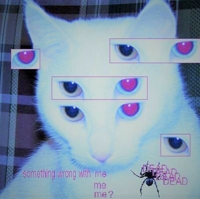 🪷Nyx!🌙さんのプロフィール画像