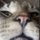 Ellie Townsend - @ellbelltown - Twitter