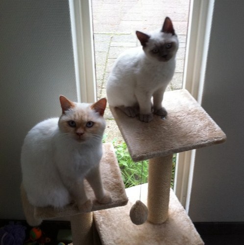 MariekeSellis's profile picture. 