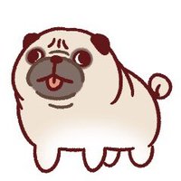 ユウ☀️@@@@@☀️ (@9mzay7h4) Twitter profile photo