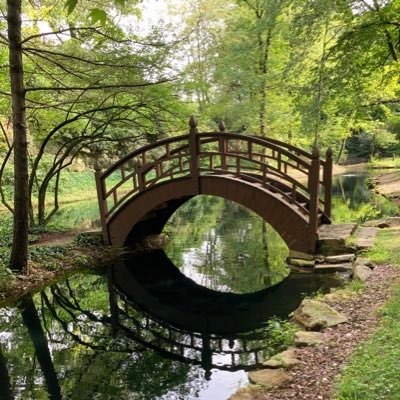 Cooper4Adams's profile picture. 