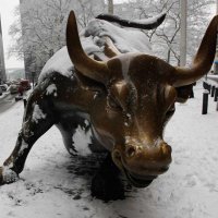 kazmancrypto (@ushah212) 's Twitter Profile