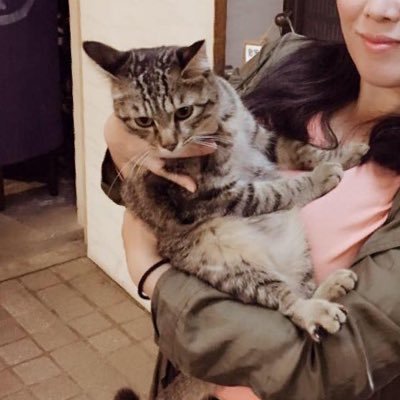 宝塚星組💫礼真琴さん🐕✨同郷の輝咲玲央様🦖107世奈未蘭さん美玲ひなさん108絢咲羽蘭さん 宝塚全組、劇団四季、ミュージカル、舞台全般興味あります