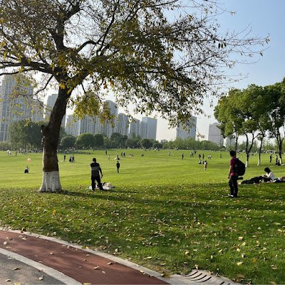 JUNLIU156984531's profile picture. 