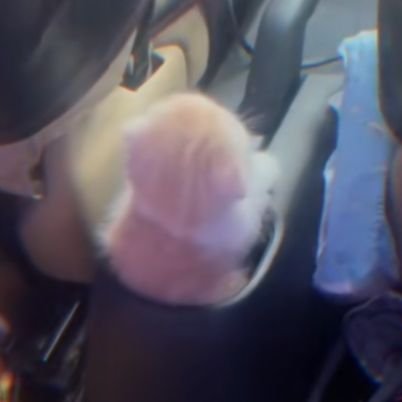 ashrafyaf's profile picture. 