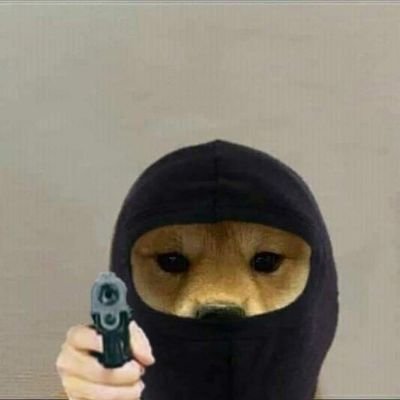 andresh01863459's profile picture. 