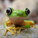 Sílvia Carrera - @ohanaworld - Twitter