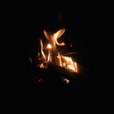 BkJeeya's profile picture. 