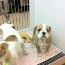 Michael  Velardo - @mmvIII61 - Twitter