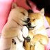 ちゃし (@pkn1ks61rbfejyl) Twitter profile photo ちゃし (@pkn1ks61rbfejyl) Twitter profile photo