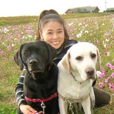 動物病院勤務歴10年以上。パピーからシニア犬までワンちゃんとの暮らしを楽しむ秘訣をマナートレーニングと一緒に健康からおもちゃの選び方まで■認定准動物医療グリフケアアドバイザー ■ノーズワークファンフレンズ認定インストラクター ■愛玩動物飼養管理士→訪問しつけ·出張トレーナー·シッター ■めちゃ関西弁