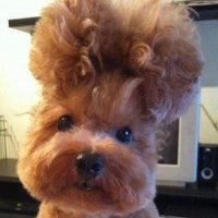๊ฒจ์ธ๐ป๐ถ๐ (@wi_nter_01) 's Twitter Profile Photo ๊ฒจ์ธ๐ป๐ถ๐ (@wi_nter_01) 's Twitter Profile Photo