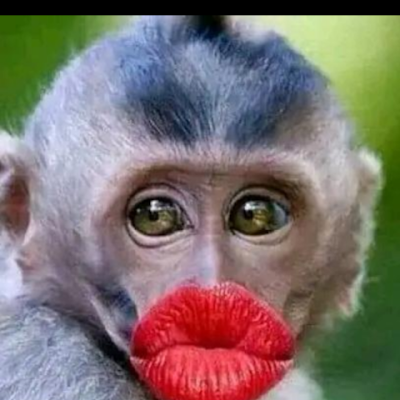 JRam08742792492's profile picture. 