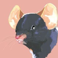 ネズミ (@28nezumi) / X