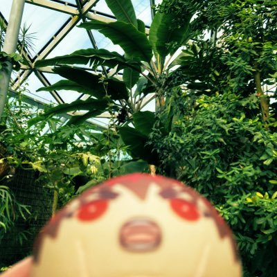のねさんのプロフィール画像