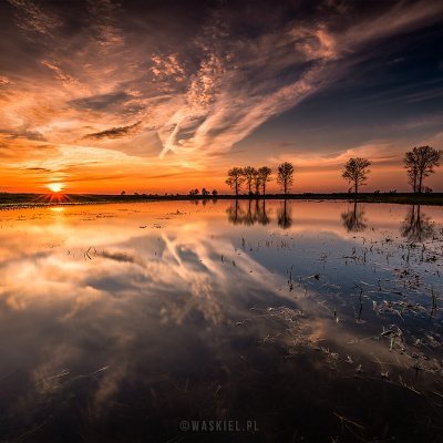 MichalWodny's profile picture. always