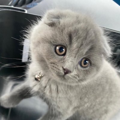 mhtppltsnyrt's profile picture. 