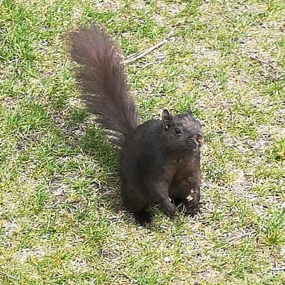 わせポケ２年、幹事長（代表）のひよこ🐤