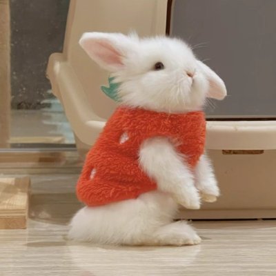 nurunurudini's profile picture. Light up the world with your personality and be the brightest.